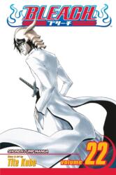 Bleach, Vol. 22 (ISBN: 9781421511795)