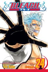 Bleach 24 (ISBN: 9781421516035)