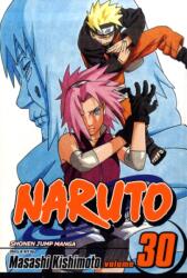 Naruto #30 (ISBN: 9781421519425)