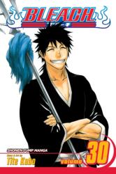 Bleach, Vol. 30 (ISBN: 9781421523880)