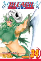 Bleach 34 (ISBN: 9781421528120)