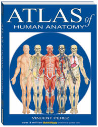 Atlas of Human Anatomy - Vincent Perez (ISBN: 9781423201724)