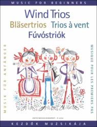 FÚVÓSTRIÓK KEZDőK SZÁMÁRA (ISBN: 9786310177953)