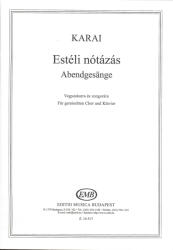 ESTÉLI NÓTÁZÁS (ISBN: 9786400196864)
