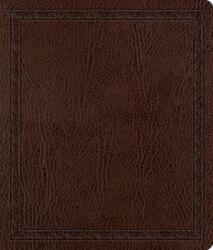 ESV Journaling Bible (ISBN: 9781433502347)