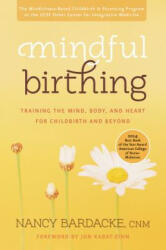 Mindful Birthing - Nancy Bardacke (2012)