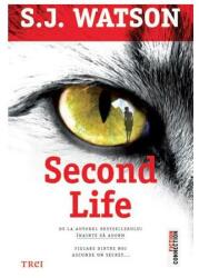 Second Life (ISBN: 9786067193572)