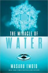 The Miracle of Water (ISBN: 9781451608052)