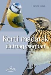 Kerti madarak életnagyságban (ISBN: 9786155178801)