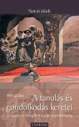 A tanulás és gondolkodás keretei (2015)