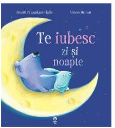 Te iubesc zi și noapte (ISBN: 9789731989921)