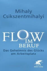 Flow im Beruf - Mihaly Csikszentmihalyi, Ulrike Stopfel (2014)