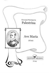 AVE MARIA VEGYESKARRA (ISBN: 9786530228886)