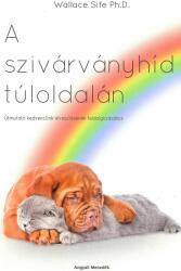 A szivárványhíd túloldalán (ISBN: 9786158033718)