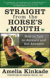 Straight from the Horse's Mouth - Amelia Kinkade (ISBN: 9781577315063)