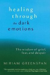 Healing Through the Dark Emotions - Miriam Greenspan (ISBN: 9781590301012)