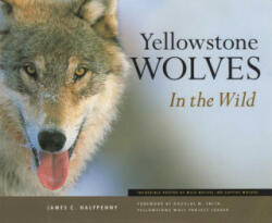 Yellowstone Wolves in the Wild - James C. Halfpenny (ISBN: 9781931832267)