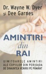 Amintiri din rai. Uimitoarele amintiri ale copiilor din perioada de dinaintea venirii pe pamant - Wayne W. Dyer, Dee Garnes (ISBN: 9786067560039)