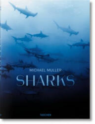 Michael Muller. Sharks (ISBN: 9783836553599)