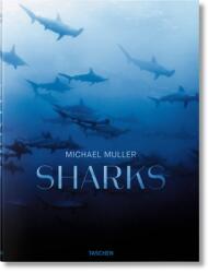 Michael Muller - Sharks - Michael Muller (ISBN: 9783836553599)