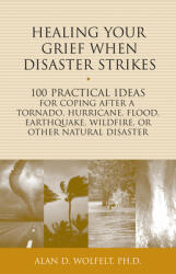 Healing Your Grief When Disaster Strikes: 100 Practical Ideas for Coping After a Tornado Hurricane Flood Earthquake Wildfire or Other Natural Dis (ISBN: 9781617222092)