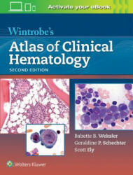 Wintrobe's Atlas of Clinical Hematology - Douglas C Tkachuk, Tkachuk (ISBN: 9781605476148)