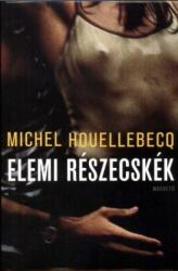 Elemi részecskék (2001)