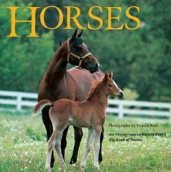 Harold Roth, Harold Roth, Laura Driscoll, Margo Lundell - Horses - Harold Roth, Harold Roth, Laura Driscoll, Margo Lundell (ISBN: 9780448417356)