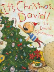 David Shannon: It's Christmas, David! (ISBN: 9780545143110)