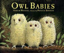 Owl Babies (ISBN: 9780763612832)