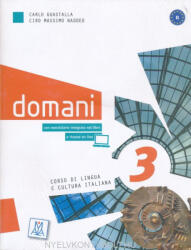 Carlo Guastalla, Ciro Massimo Naddeo: Domani 3 con eserciziario + DVD - corso di lingua e cultura italiana (ISBN: 9788861822405)