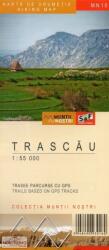 Trascău - Hartă de drumeție (ISBN: 5948490930160)