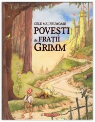 Cele mai frumoase povesti - Fratii Grimm (2016)