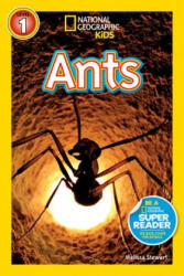 Ants | Melissa Stewart (ISBN: 9781426306082)