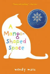 Mango-Shaped Space - Wendy Mass (ISBN: 9780316058254)