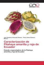 Caracterizacion de Pitahaya amarilla y roja de Ecuador - Alvarado Romero Jose Apolonio, Romero Blanco Rosa Liliana (ISBN: 9783659092527)