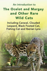 introduction to The Ocelot and Margay and Other Rare Wild Cats Including Caracal, Clouded Leopard, Black Footed Cat, Fishing Cat and Iberian Lynx - Colette Anderson (ISBN: 9781909820777)