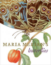 Maria Merian's Butterflies - Kate Heard (ISBN: 9781909741317)