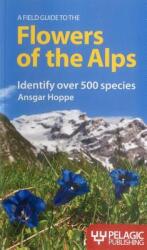A Field Guide to the Flowers of the Alps (ISBN: 9781907807404)