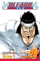 Bleach, Vol. 28 (ISBN: 9781421523866)