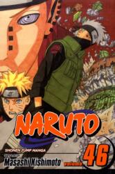 Naruto, Vol. 46 (ISBN: 9781421533049)