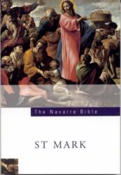 Navarre Bible - Four Courts Press (ISBN: 9781851829019)