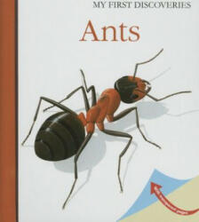 Moonlight Publishing - Ants - Moonlight Publishing (ISBN: 9781851034321)