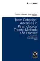 Team Cohesion: Advances in Psychological Theory Methods and Practice (ISBN: 9781785602832)