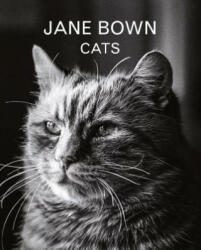 Jane Bown: Cats - Jane Bown (ISBN: 9781783350872)