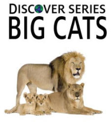 Big Cats: Discover Series Picture Book for Children - Xist Publishing (ISBN: 9781623950156)