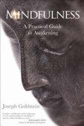 Mindfulness - Joseph Goldstein (ISBN: 9781622036059)