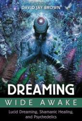 Dreaming Wide Awake (ISBN: 9781620554890)