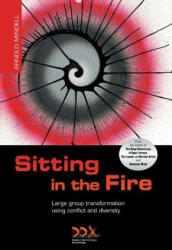 Sitting in the Fire - Mindell, Arnold, PhD (ISBN: 9781619710245)