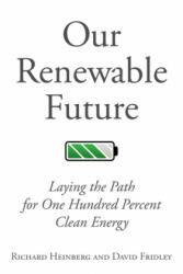 Our Renewable Future - Richard Heinberg, David Fridley (ISBN: 9781610917797)